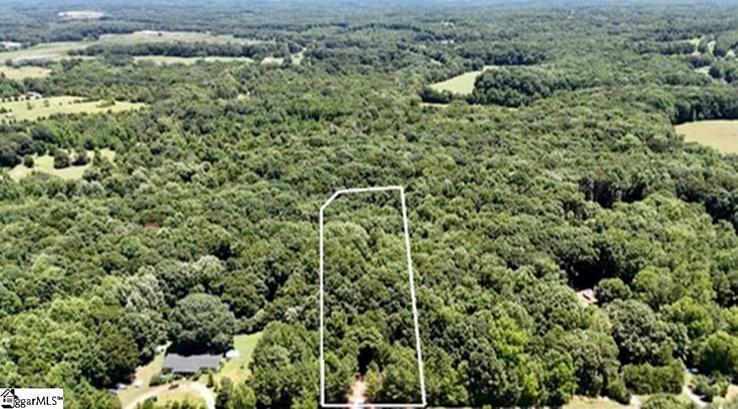 0 Durbin Farms Road Gray Court, SC 29645 - Photo 1 of 9