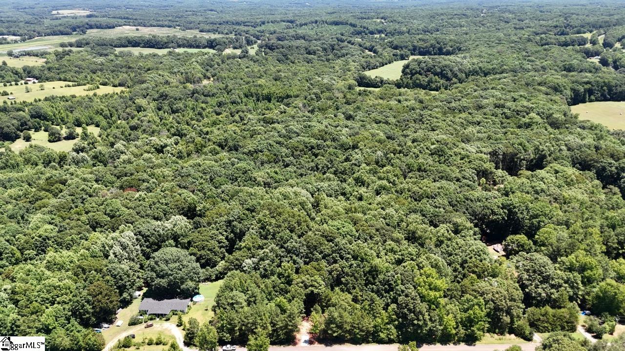 0 Durbin Farms Road Gray Court, SC 29645 - Photo 3 of 9