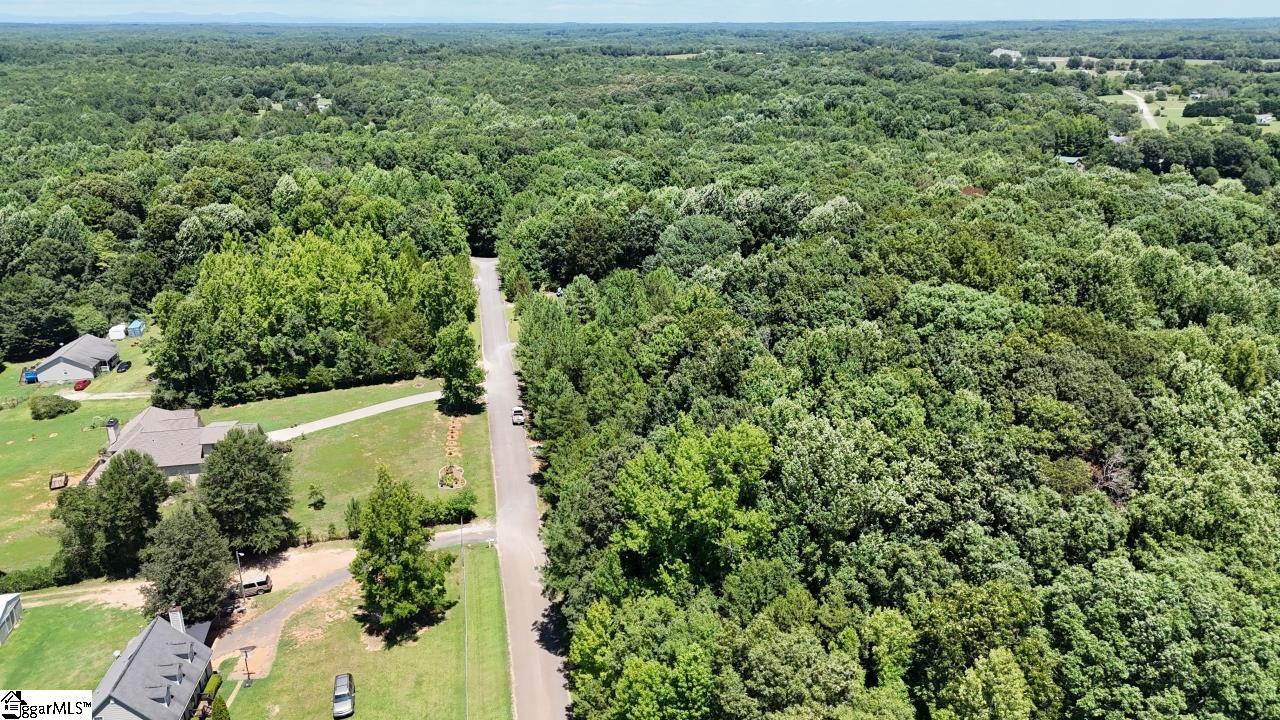 0 Durbin Farms Road Gray Court, SC 29645 - Photo 4 of 9