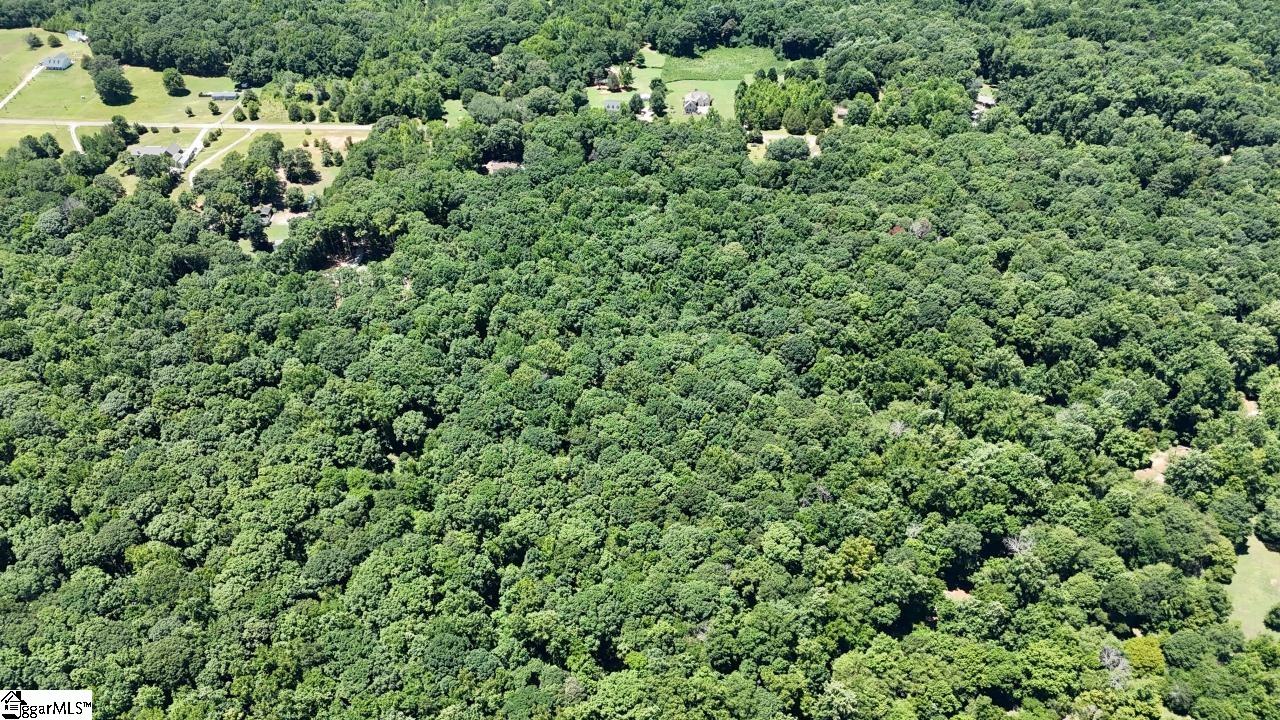 0 Durbin Farms Road Gray Court, SC 29645 - Photo 5 of 9