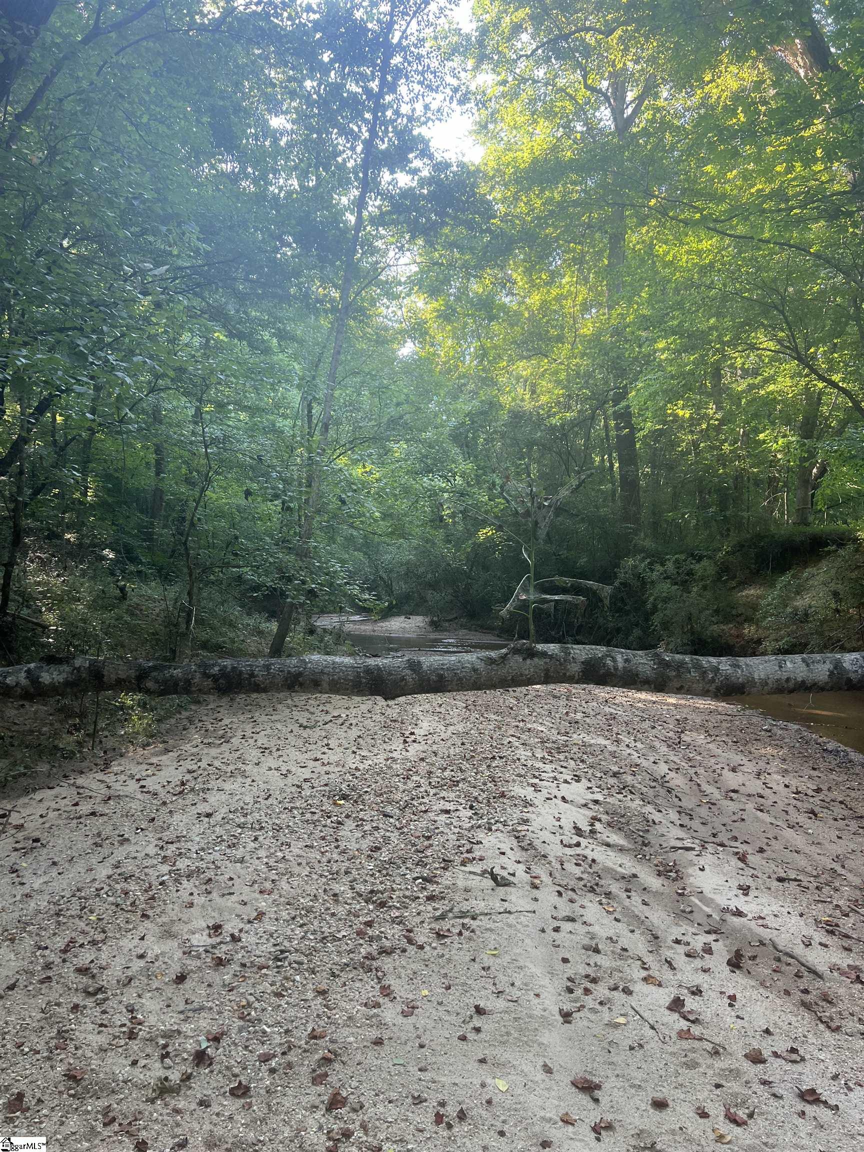 0 Durbin Farms Road Gray Court, SC 29645 - Photo 6 of 9