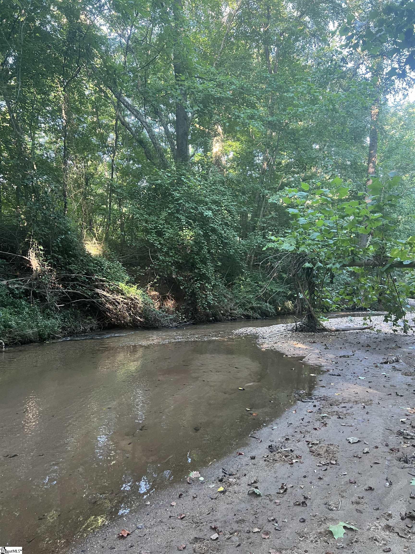 0 Durbin Farms Road Gray Court, SC 29645 - Photo 7 of 9