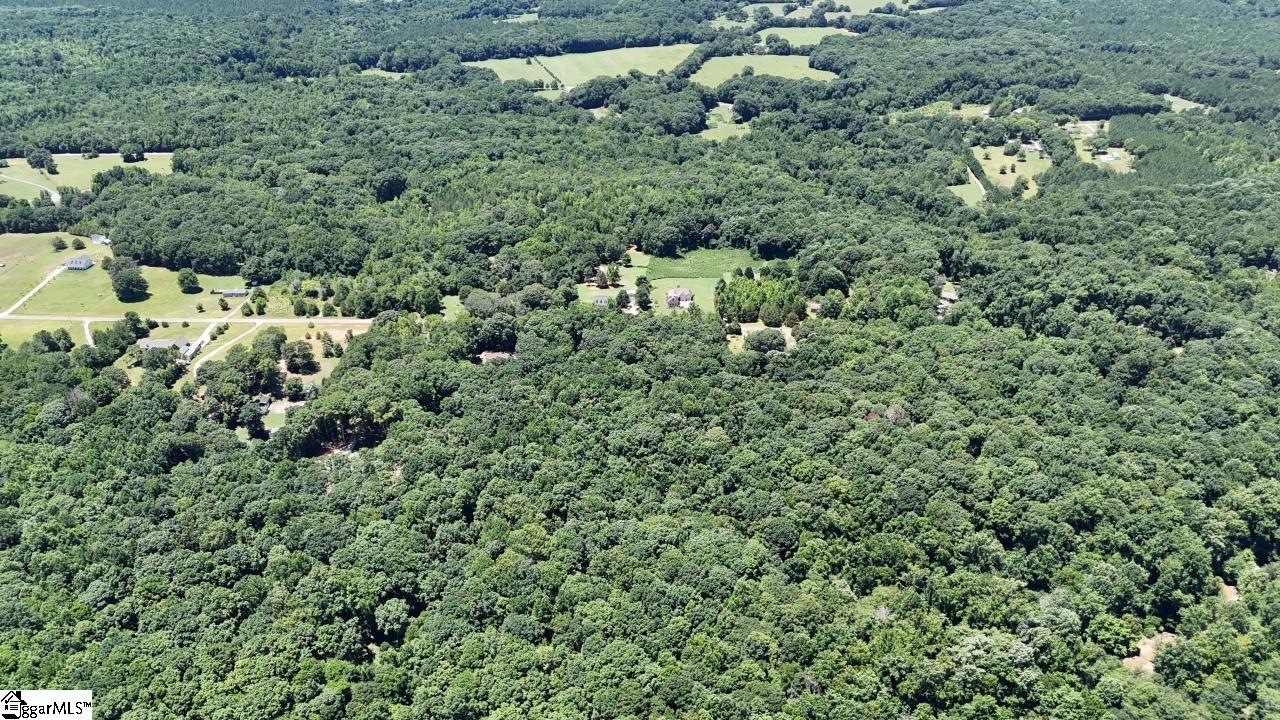 0 Durbin Farms Road Gray Court, SC 29645 - Photo 8 of 9