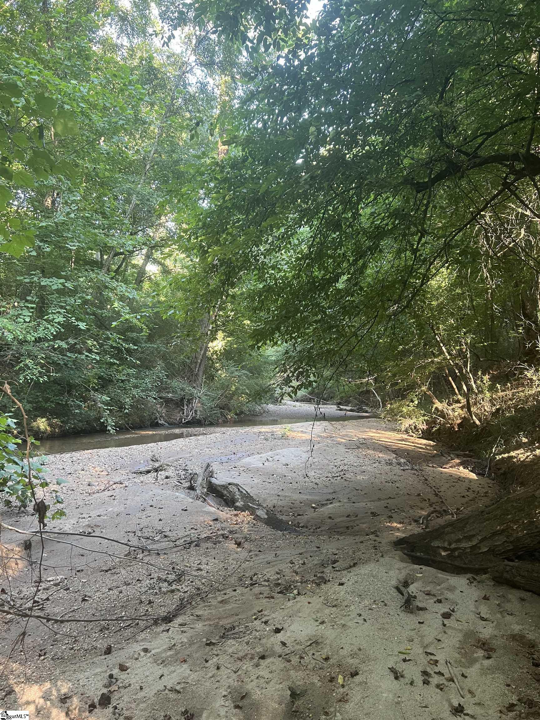 0 Durbin Farms Road Gray Court, SC 29645 - Photo 9 of 9