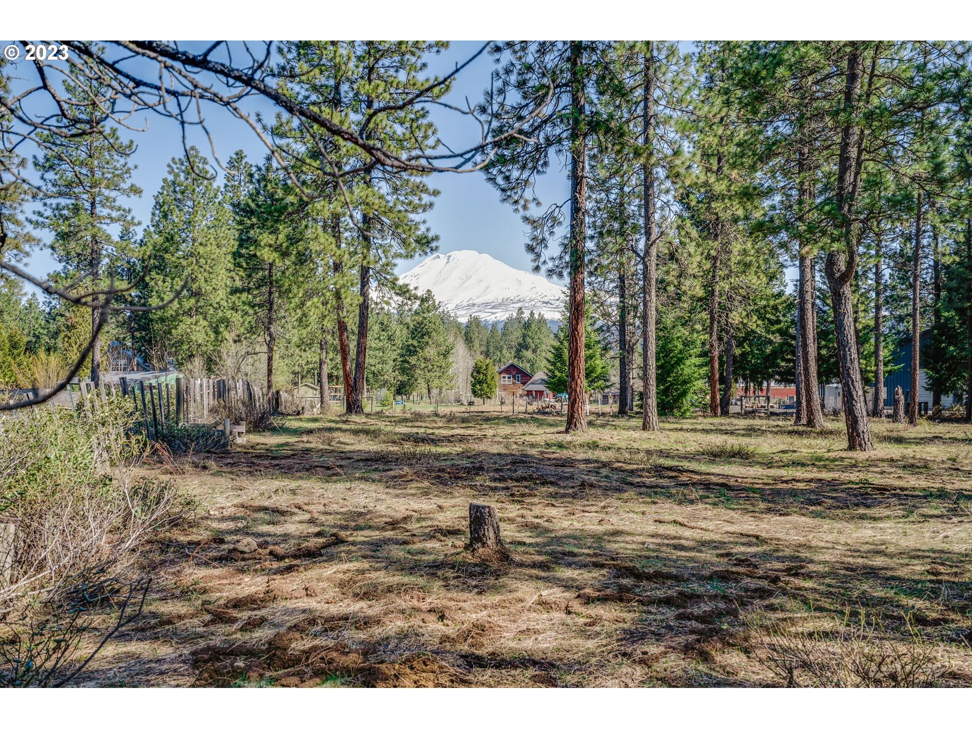 69 Jennings Road Trout Lake, WA 98650 - Photo 14 of 38 a backyard of a house with a barbeque oven stove and large trees
