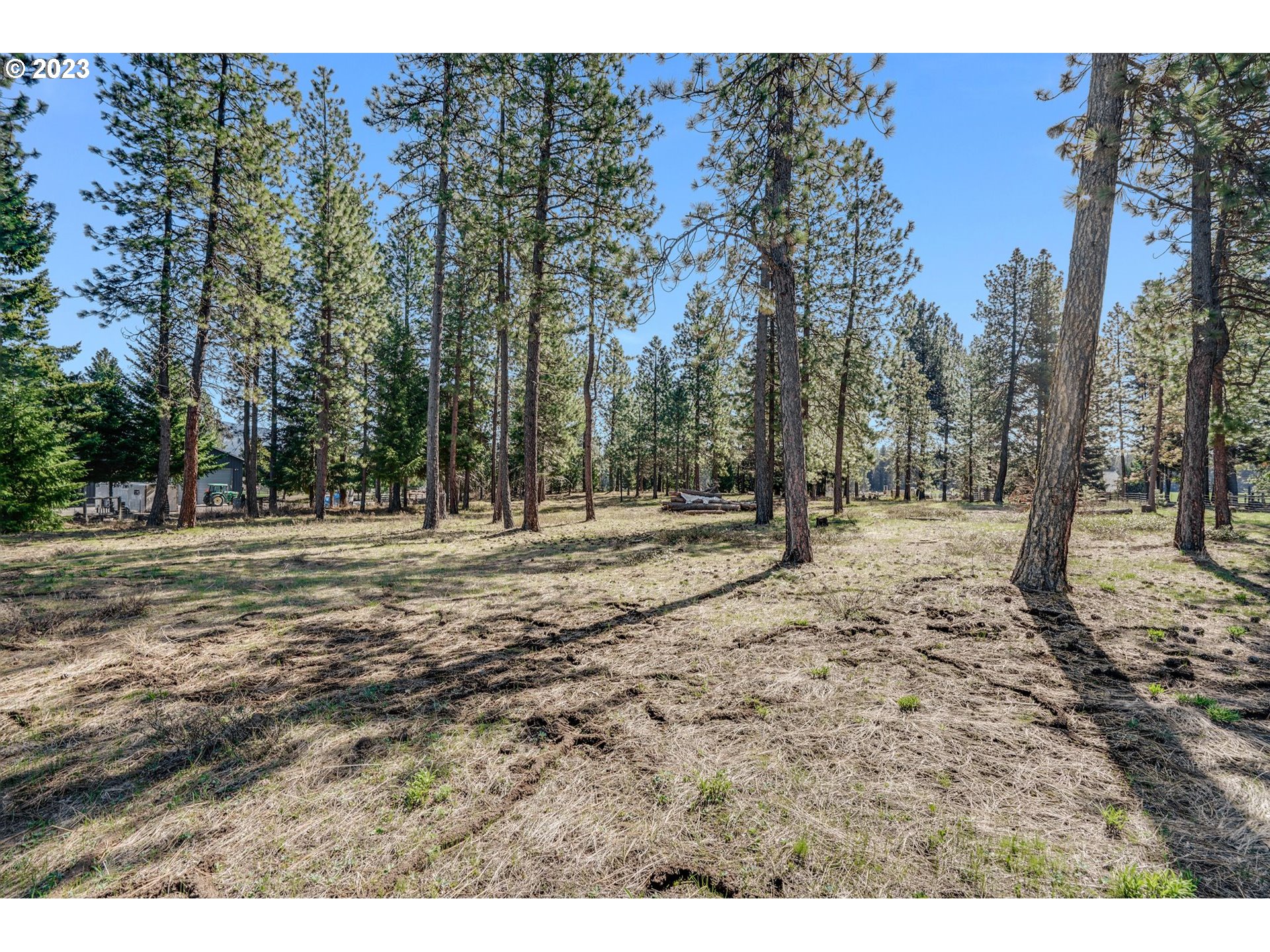 69 Jennings Road Trout Lake, WA 98650 - Photo 15 of 38 a view of outdoor space with trees