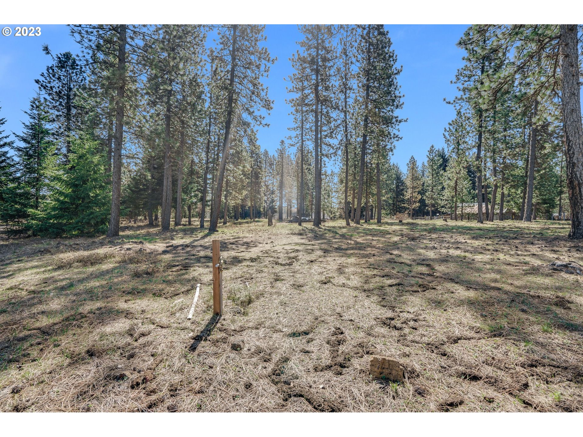 69 Jennings Road Trout Lake, WA 98650 - Photo 16 of 38 a view of outdoor space with trees