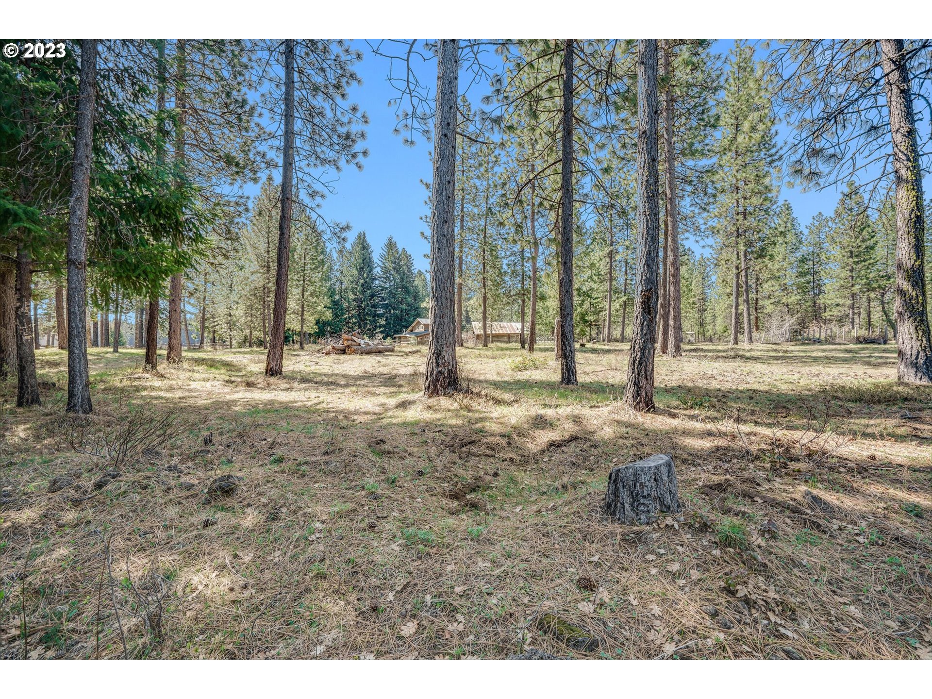 69 Jennings Road Trout Lake, WA 98650 - Photo 17 of 38 a backyard of a house with lots of green space