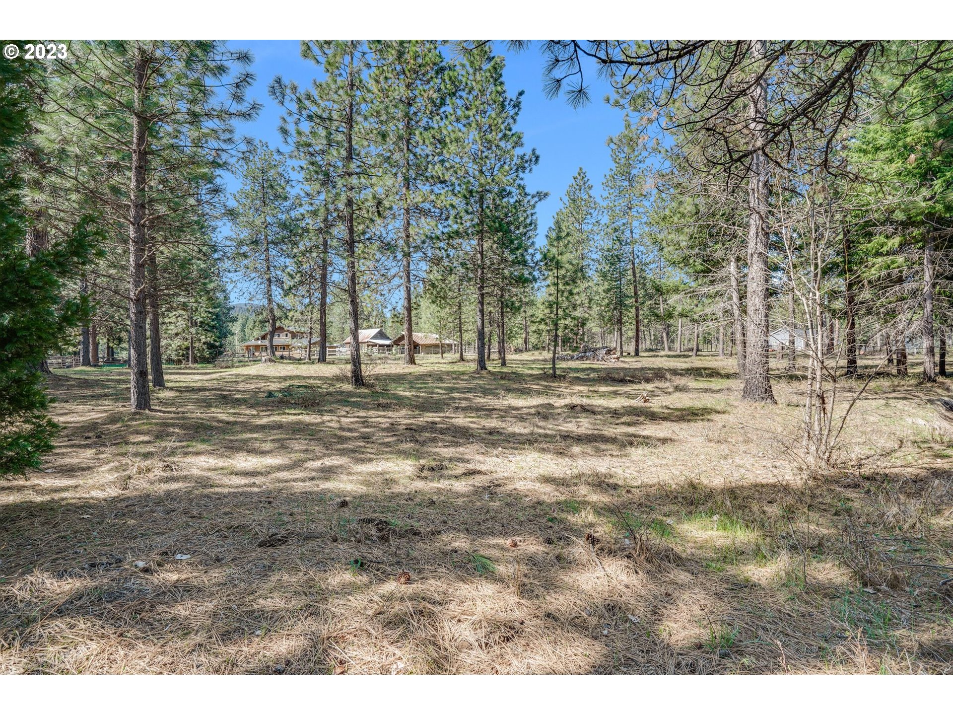 69 Jennings Road Trout Lake, WA 98650 - Photo 19 of 38 a view of road with trees
