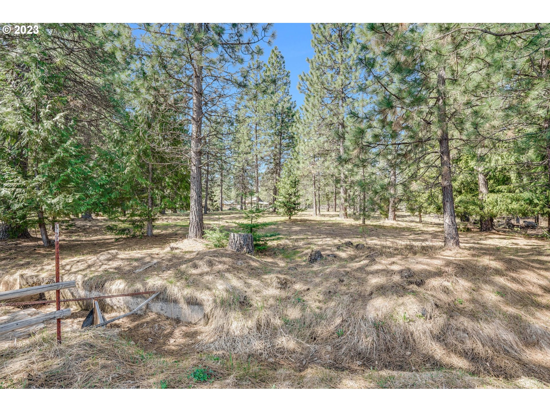 69 Jennings Road Trout Lake, WA 98650 - Photo 20 of 38 a view of outdoor space with trees