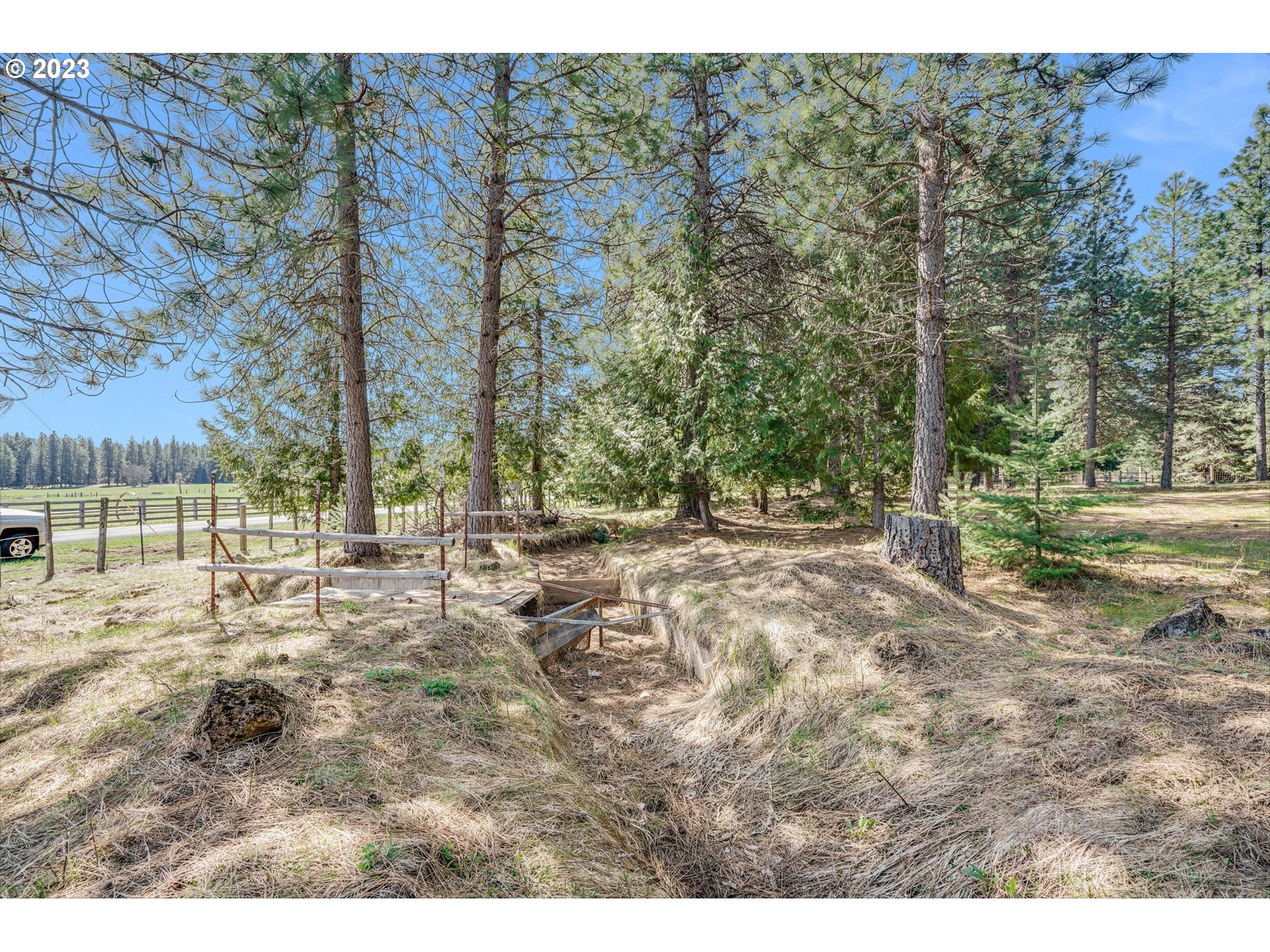 69 Jennings Road Trout Lake, WA 98650 - Photo 21 of 38 a view of yard with tree