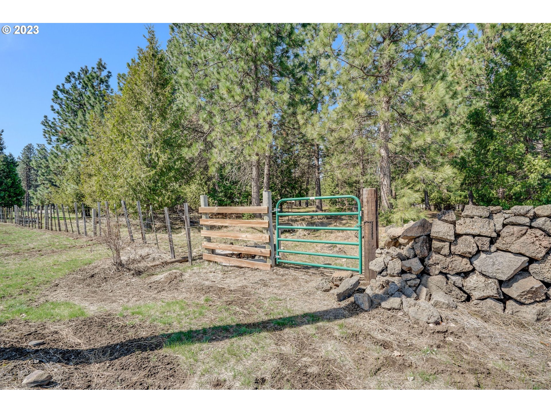 69 Jennings Road Trout Lake, WA 98650 - Photo 22 of 38 a view of outdoor space