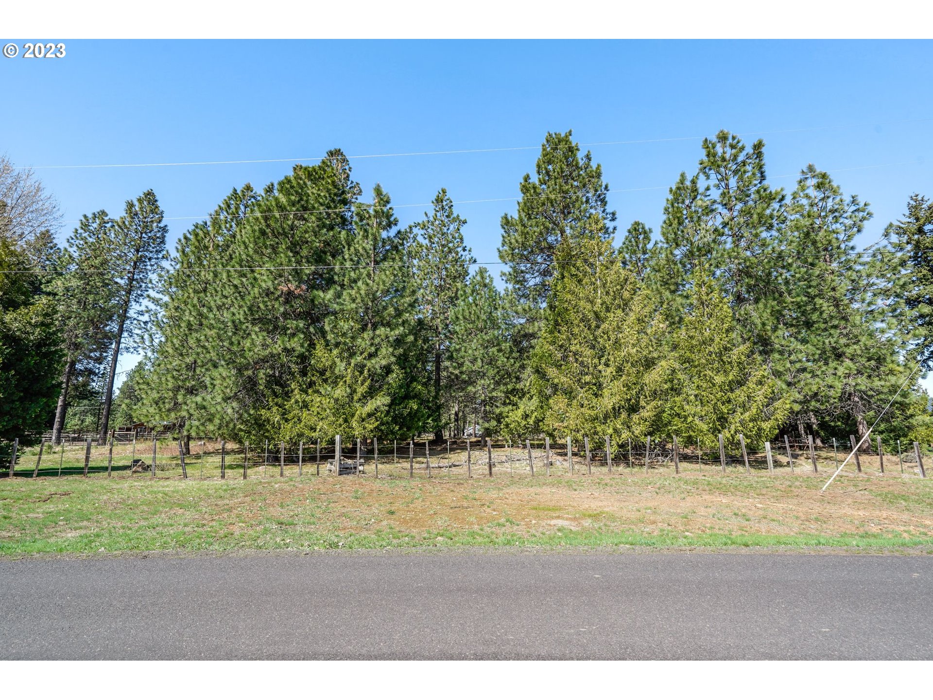 69 Jennings Road Trout Lake, WA 98650 - Photo 23 of 38 a view of a yard