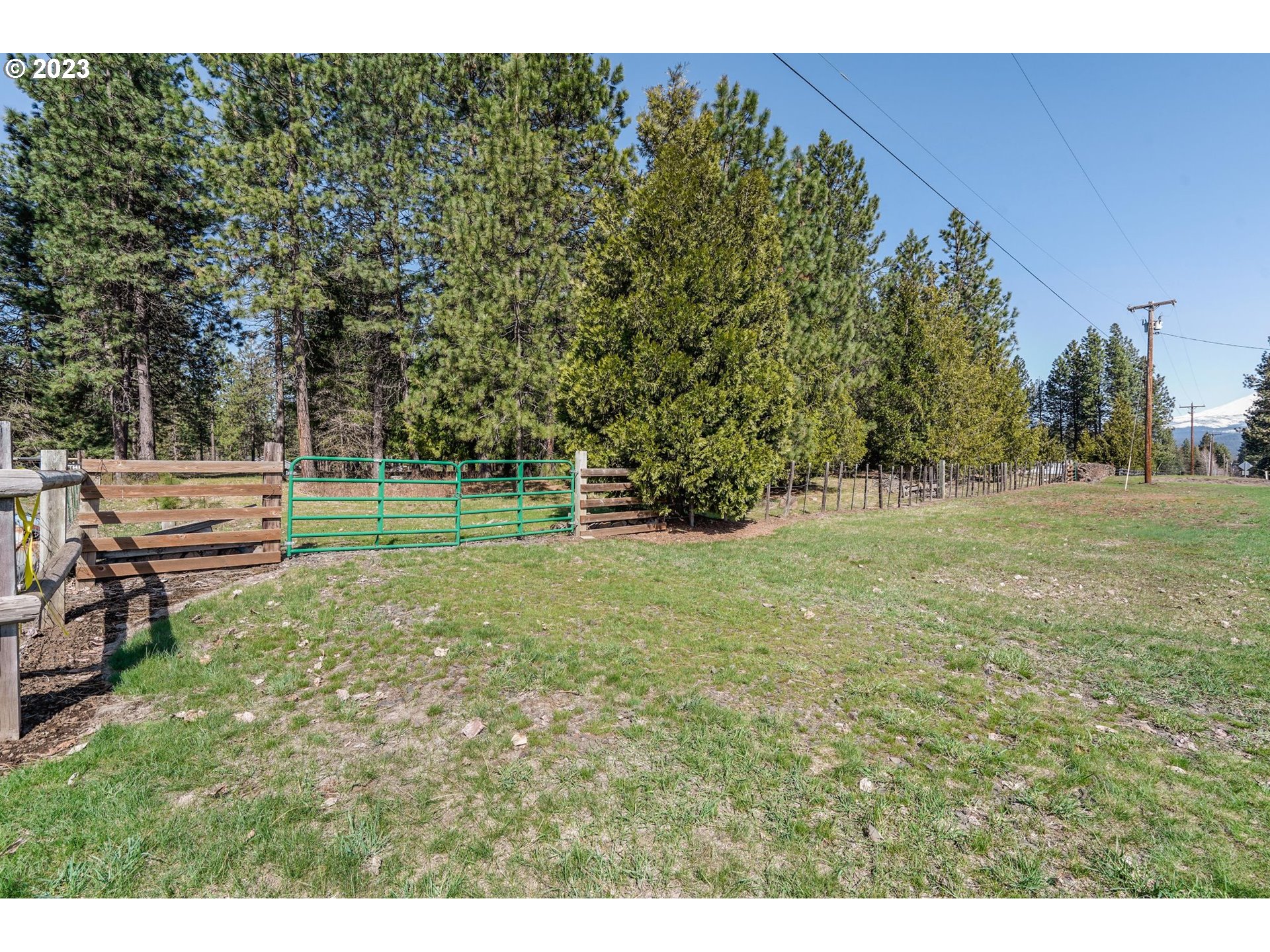 69 Jennings Road Trout Lake, WA 98650 - Photo 24 of 38 a view of a park with large trees