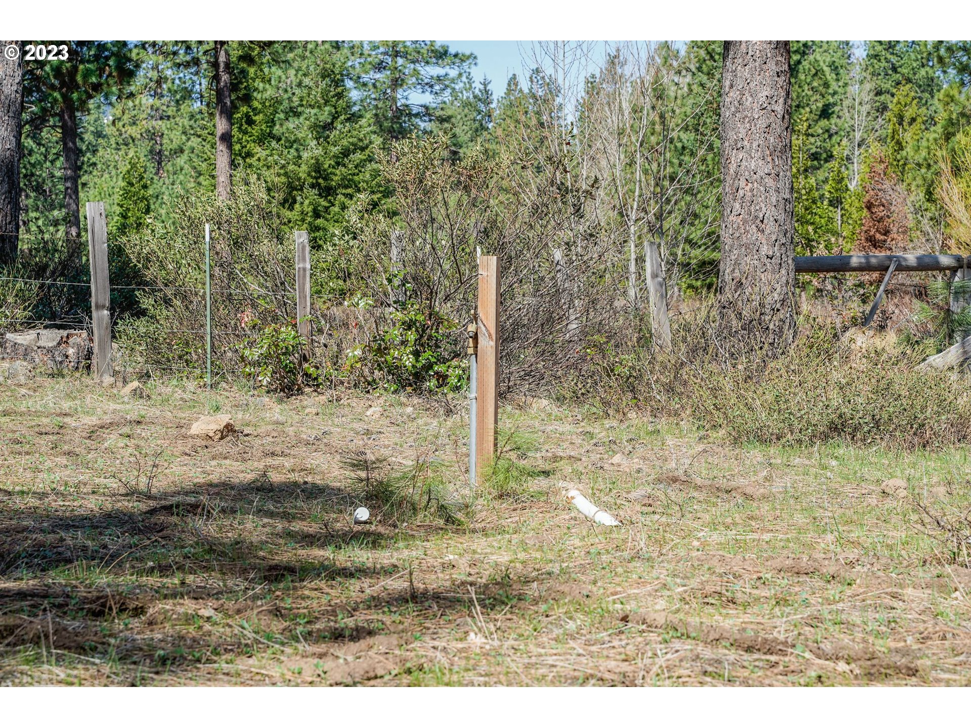 69 Jennings Road Trout Lake, WA 98650 - Photo 26 of 38 a view of a yard with trees in the background