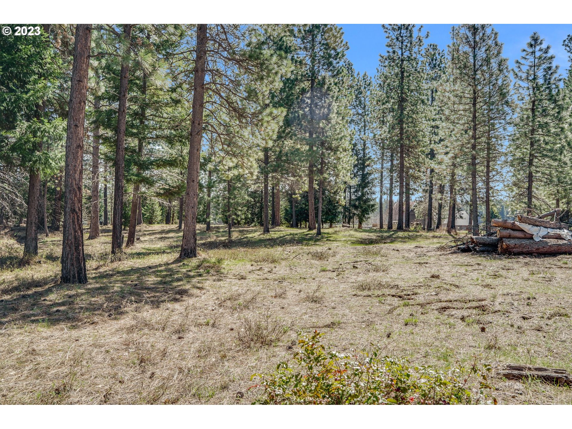 69 Jennings Road Trout Lake, WA 98650 - Photo 27 of 38 a view of outdoor space with trees