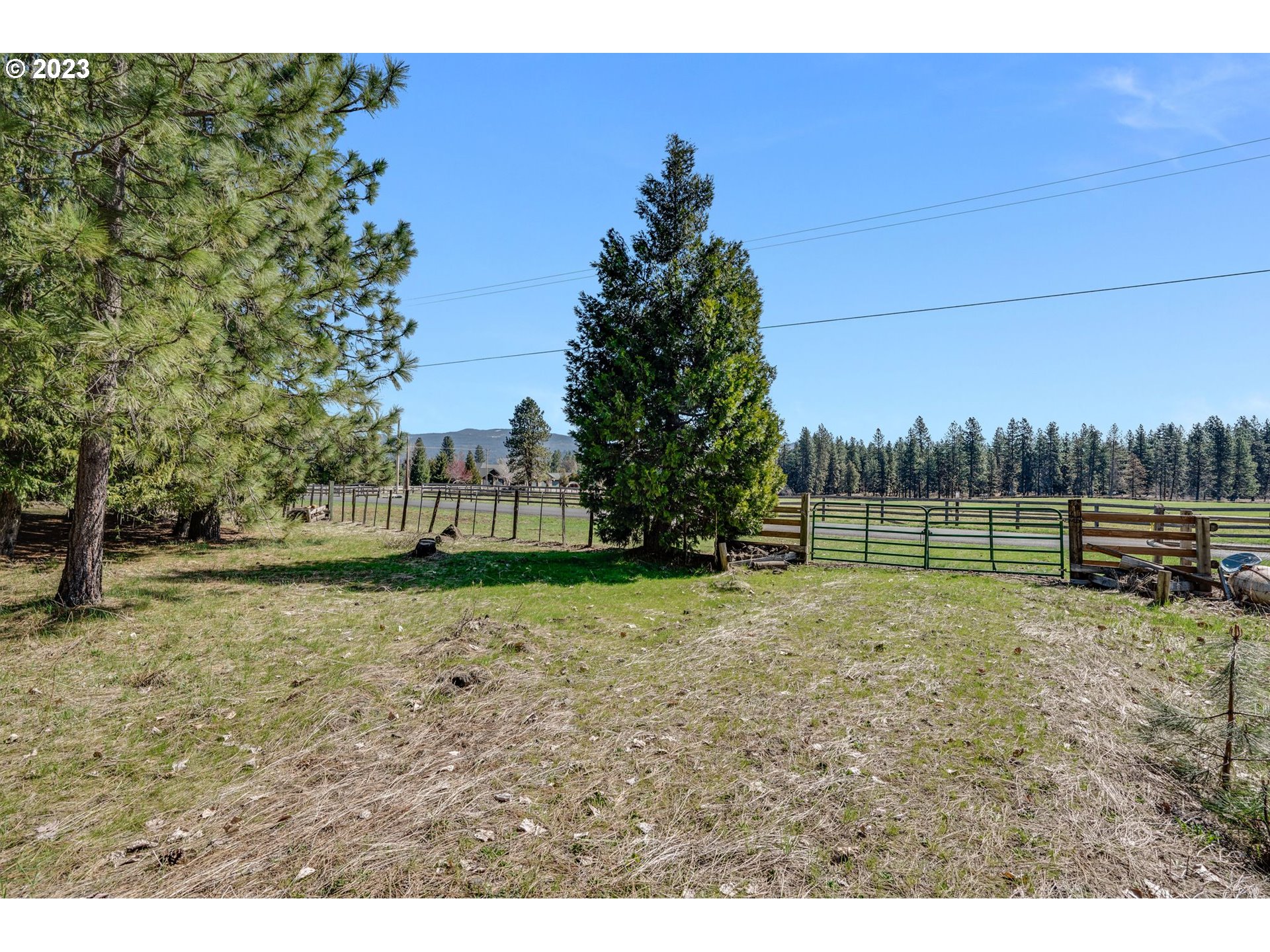 69 Jennings Road Trout Lake, WA 98650 - Photo 30 of 38 a view of a backyard