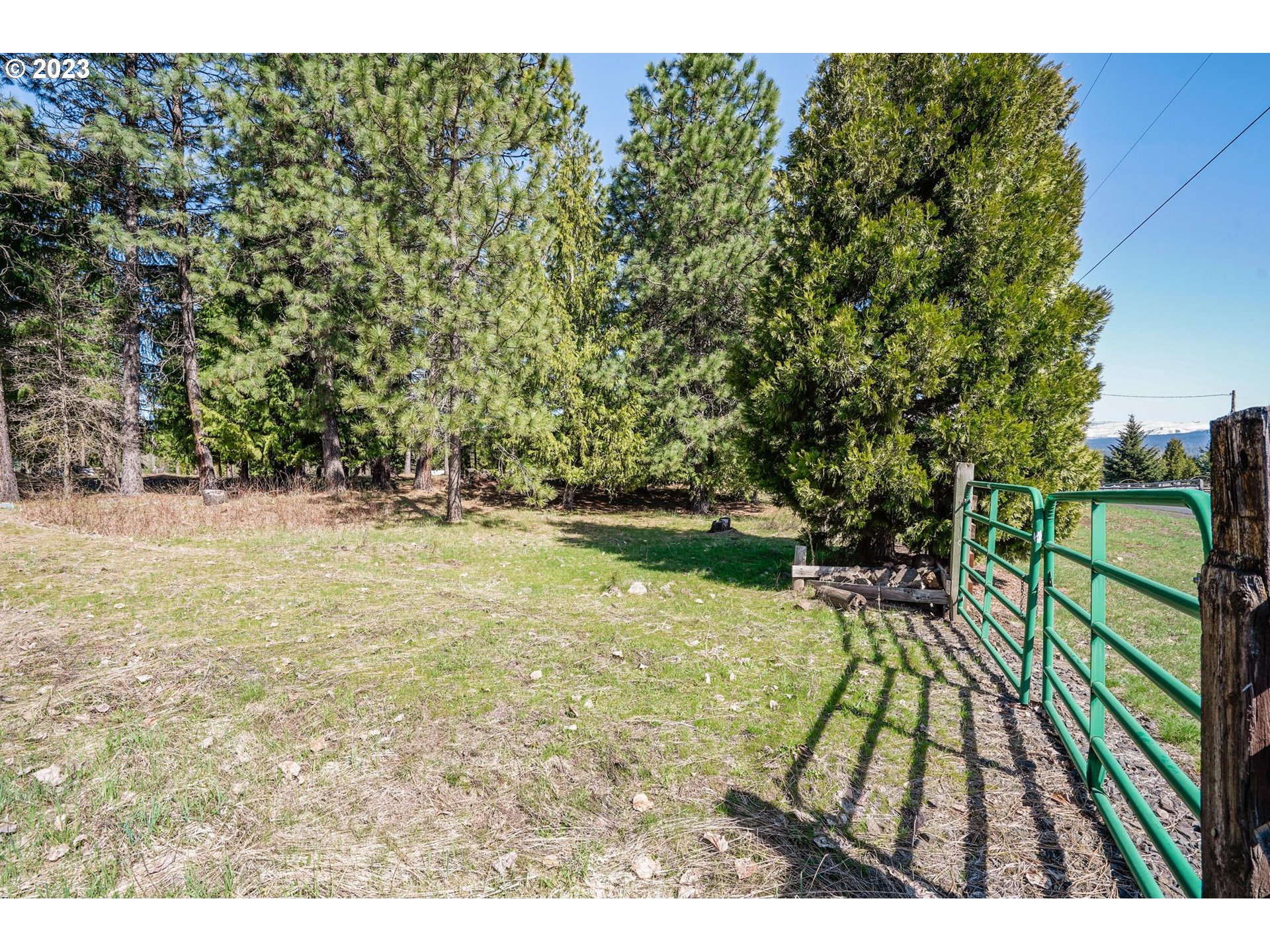69 Jennings Road Trout Lake, WA 98650 - Photo 31 of 38 a view of swimming pool from a yard