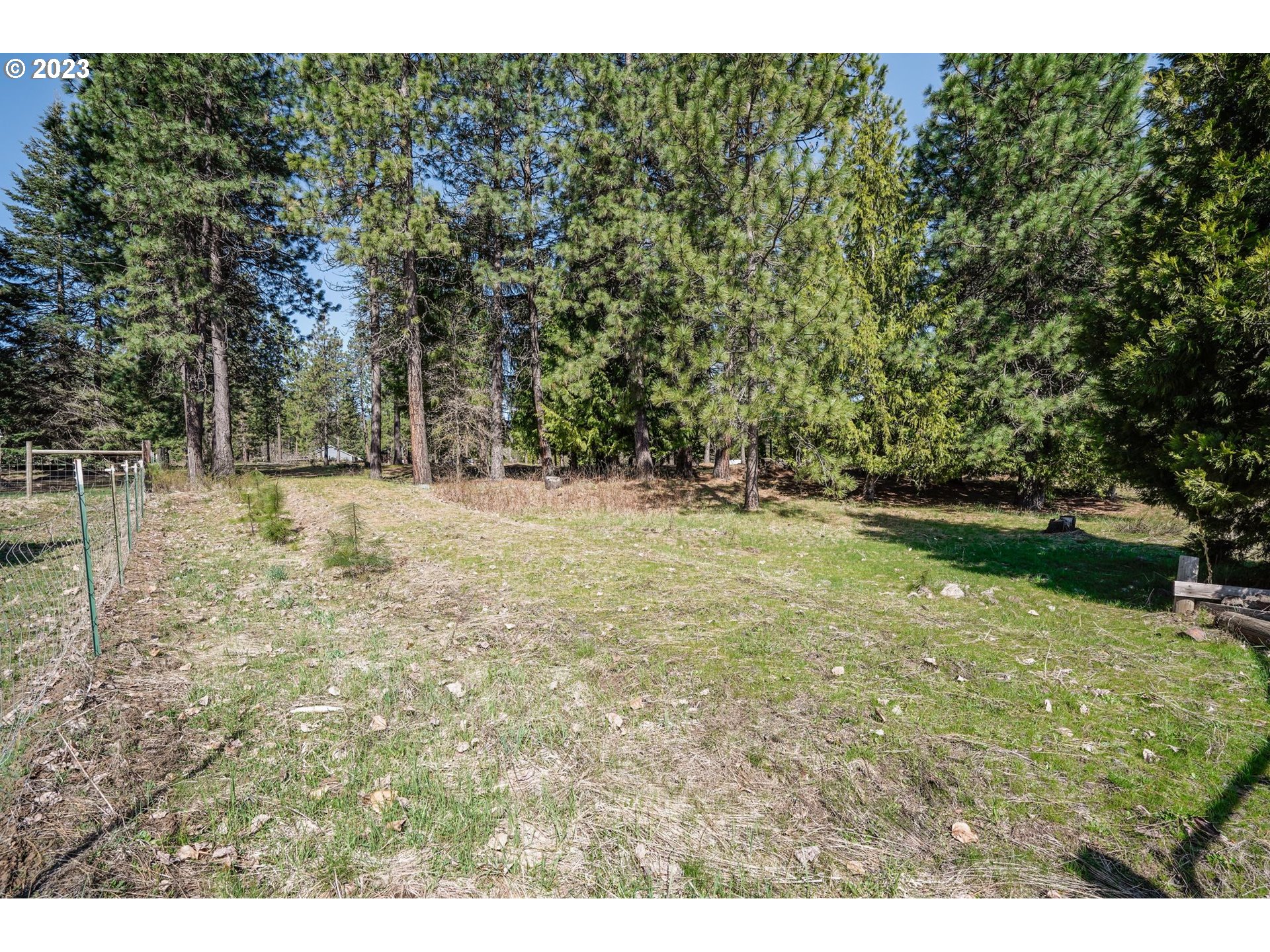 69 Jennings Road Trout Lake, WA 98650 - Photo 32 of 38 a view of yard with green space