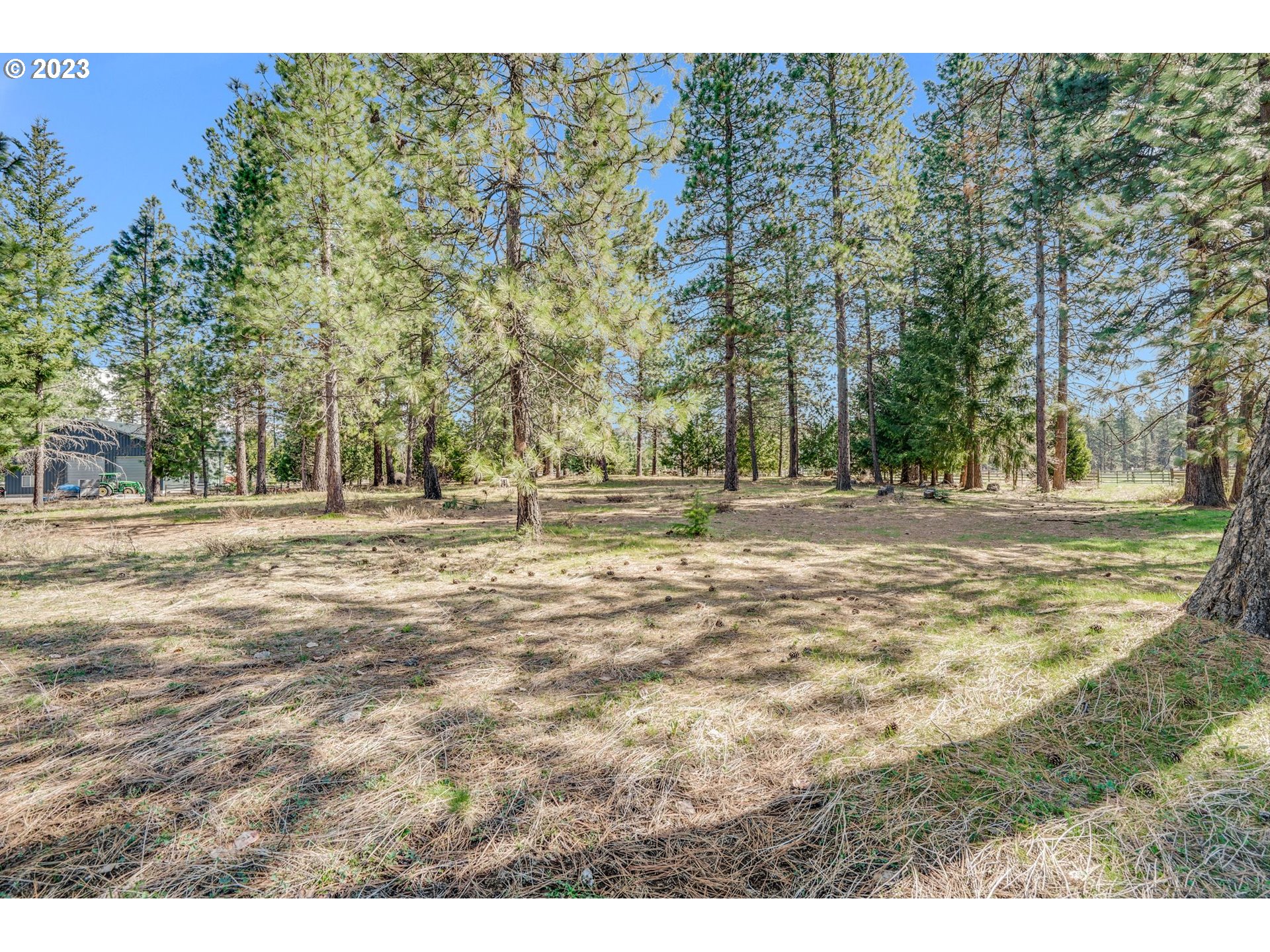 69 Jennings Road Trout Lake, WA 98650 - Photo 33 of 38 a view of outdoor space with trees