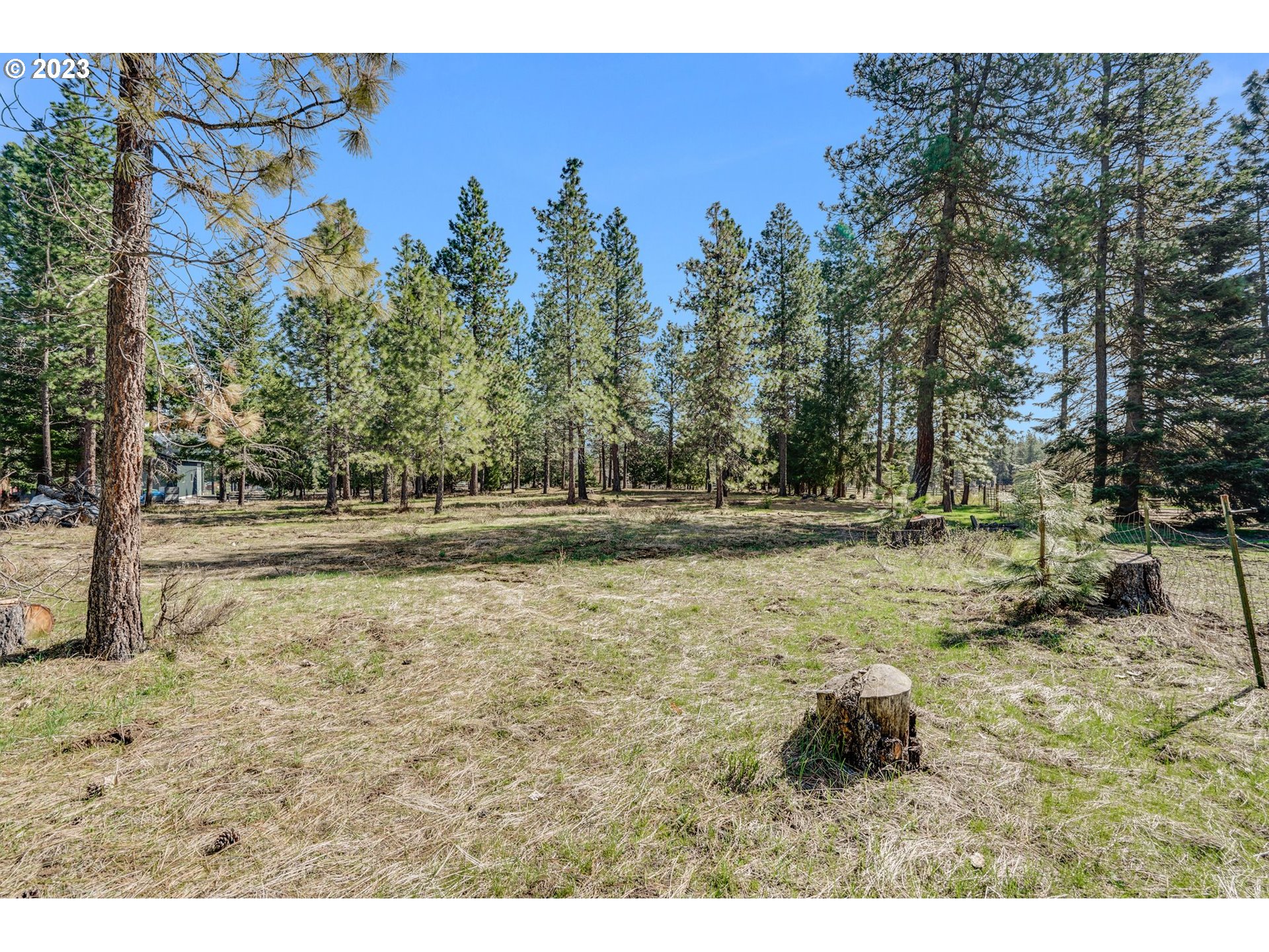 69 Jennings Road Trout Lake, WA 98650 - Photo 34 of 38 a view of outdoor space with trees
