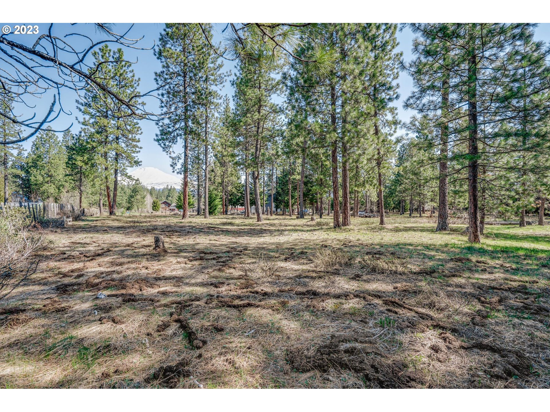 69 Jennings Road Trout Lake, WA 98650 - Photo 4 of 38 a view of outdoor space with trees