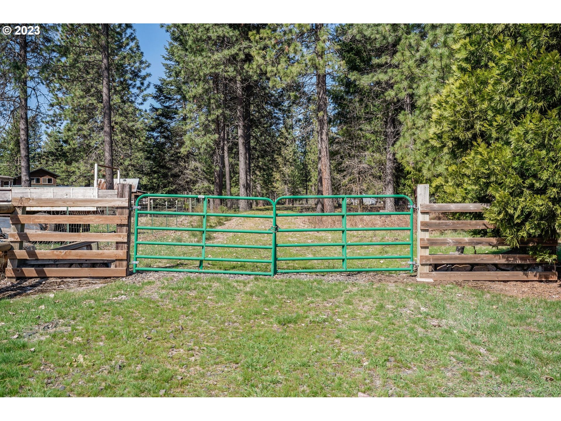 69 Jennings Road Trout Lake, WA 98650 - Photo 5 of 38 a view of a park with lots of trees