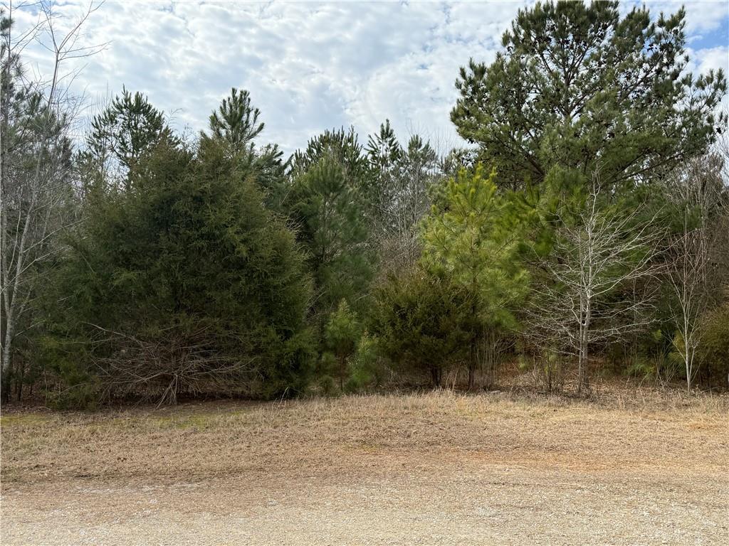 38 Stallion Way Martin, GA 30557 - Photo 1 of 1 Gallery Image 1