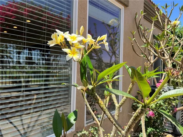 $3,295 | 77184 California Drive, Palm Desert, CA 92211