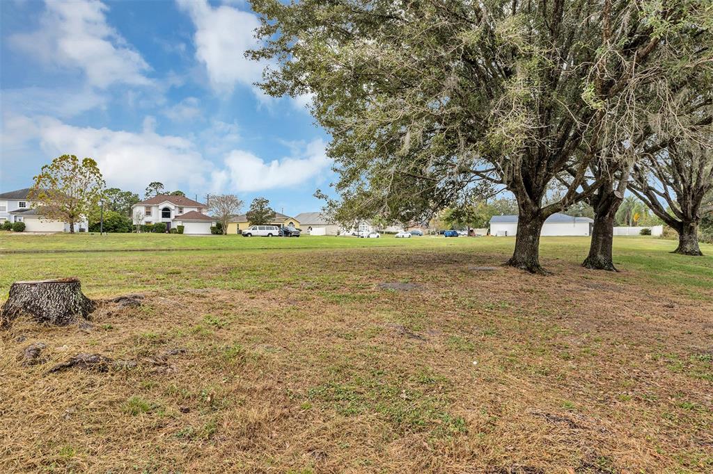 4254 Northern Dancer Way Orlando, FL 32826 - Photo 38 of 38 a view of outdoor space with green field and trees
