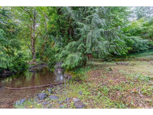 a view of a water pond with green yard