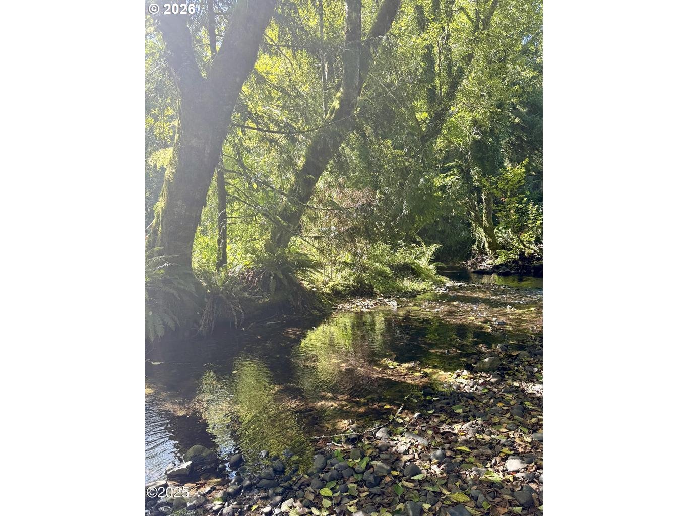 566 North Bear Creek Road Otis, OR 97368 - Photo 40 of 40 a vase of flowers sitting on a floor