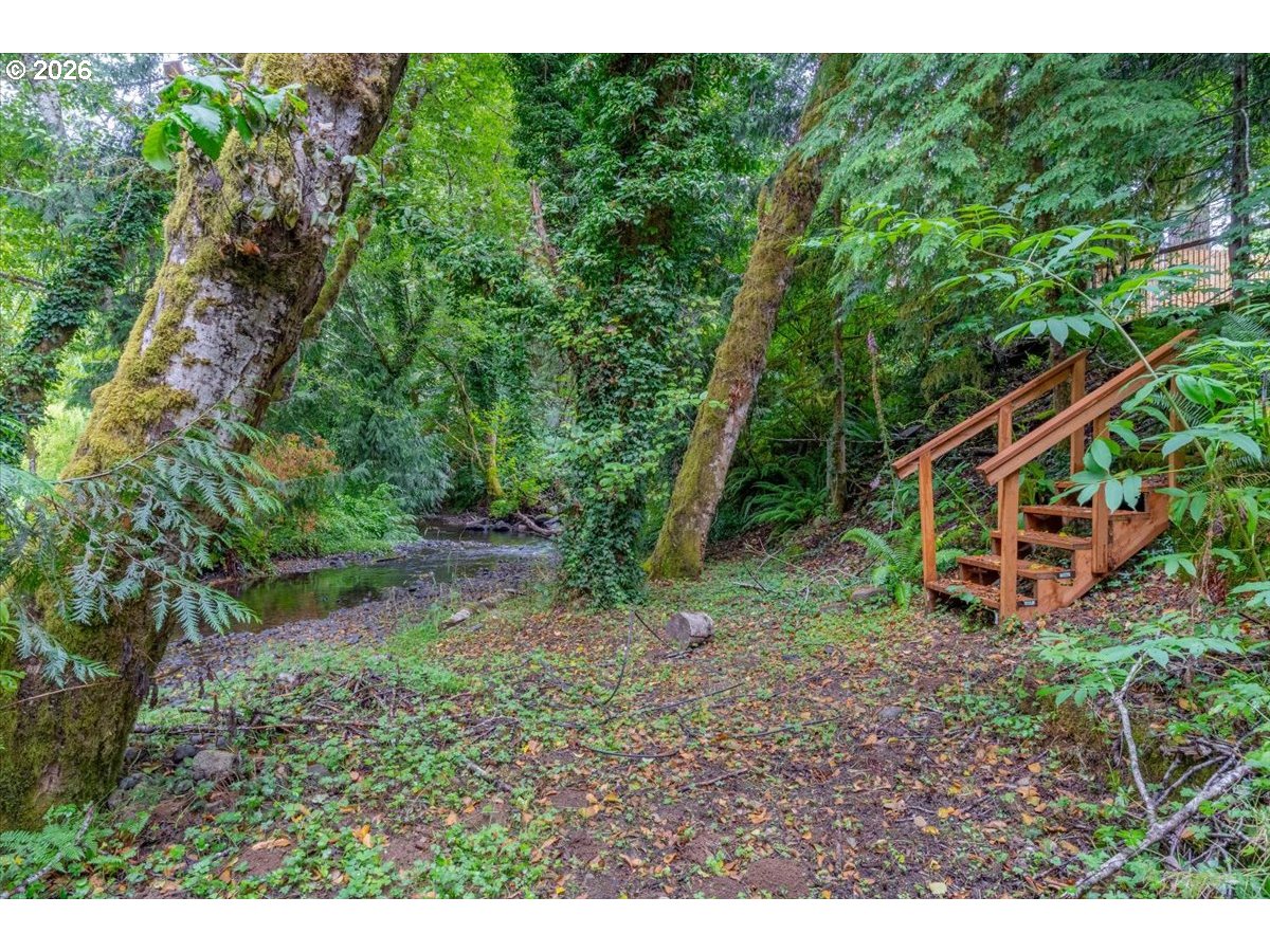 566 North Bear Creek Road Otis, OR 97368 - Photo 4 of 40 a backyard of a house with trees and plants