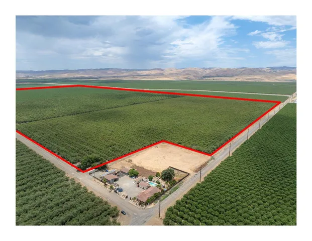 a view of a field with an trees