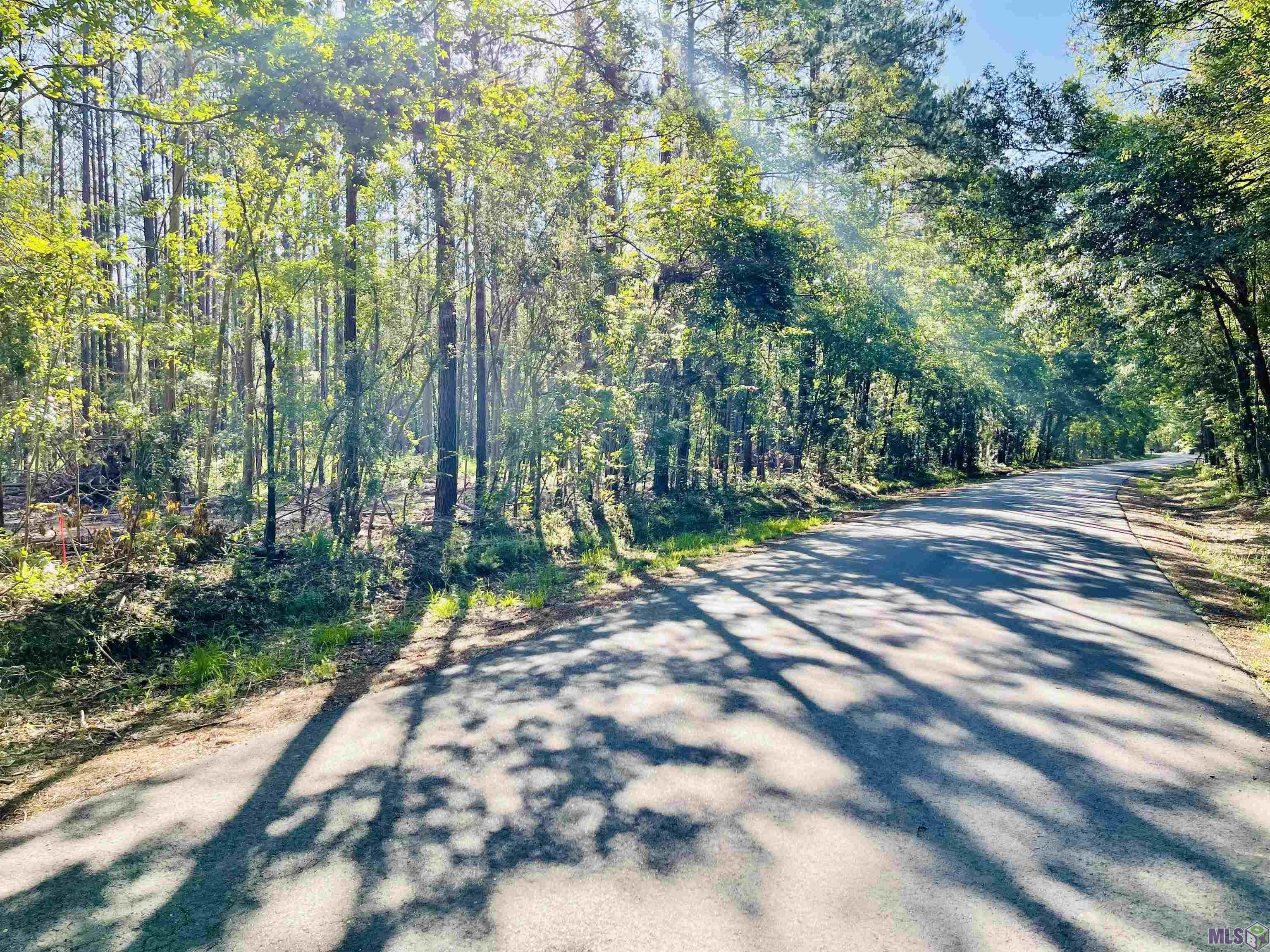 Lot 27 Nesom Road Denham Springs, LA 70706 - Photo 2 of 8 Gallery Image 2