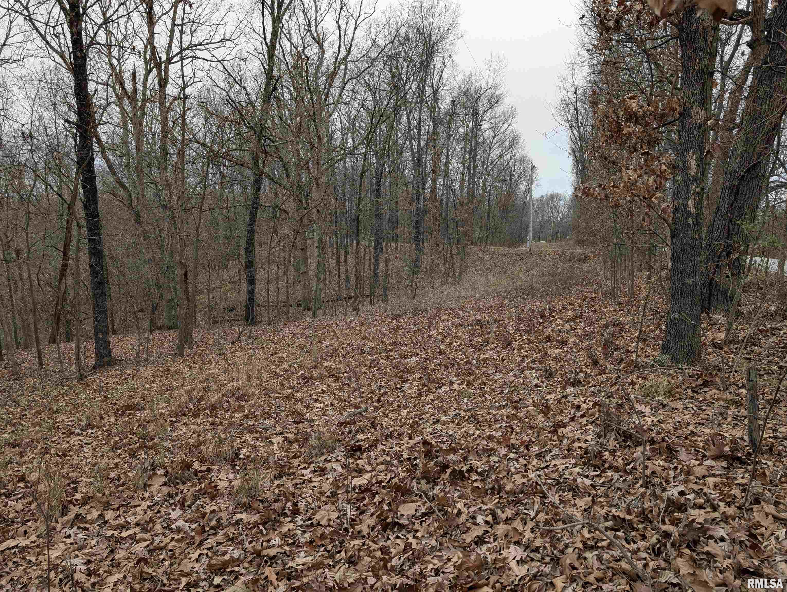 2643 Dogwood Road Carbondale, IL 62902 - Photo 2 of 6