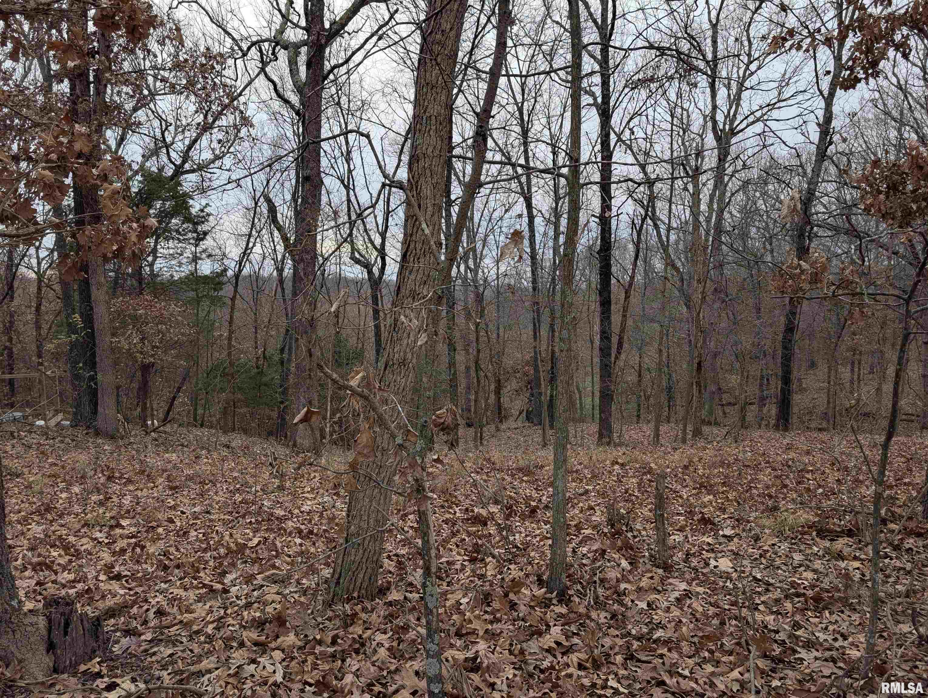 2643 Dogwood Road Carbondale, IL 62902 - Photo 3 of 6