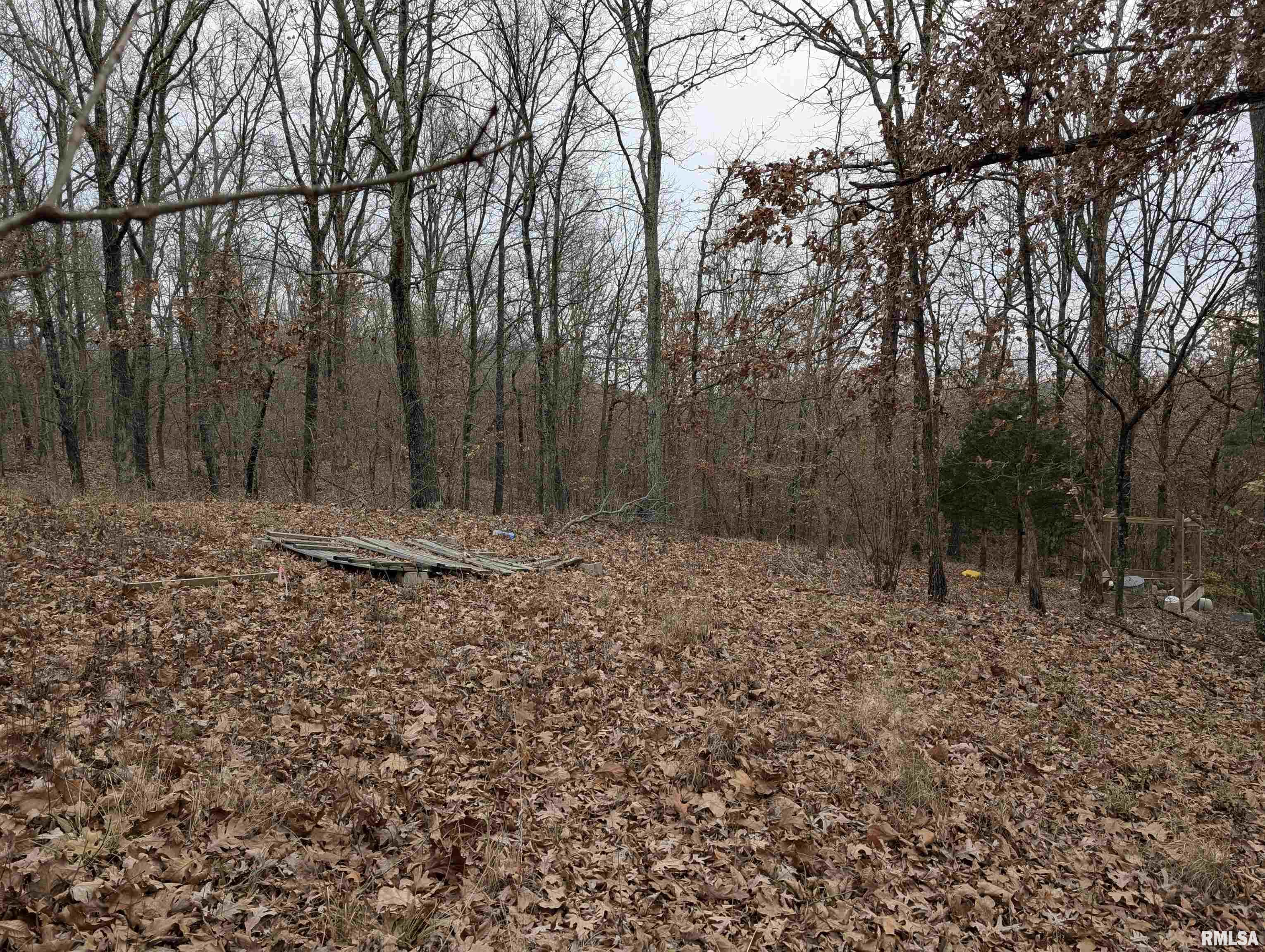 2643 Dogwood Road Carbondale, IL 62902 - Photo 4 of 6