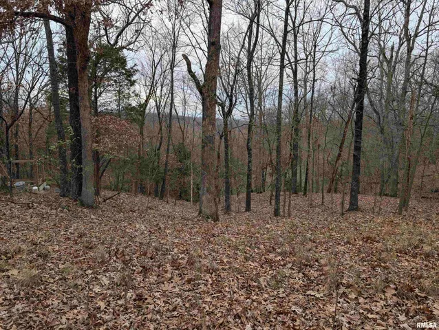 $25,000 | 2643 Dogwood Road, Carbondale, IL 62902