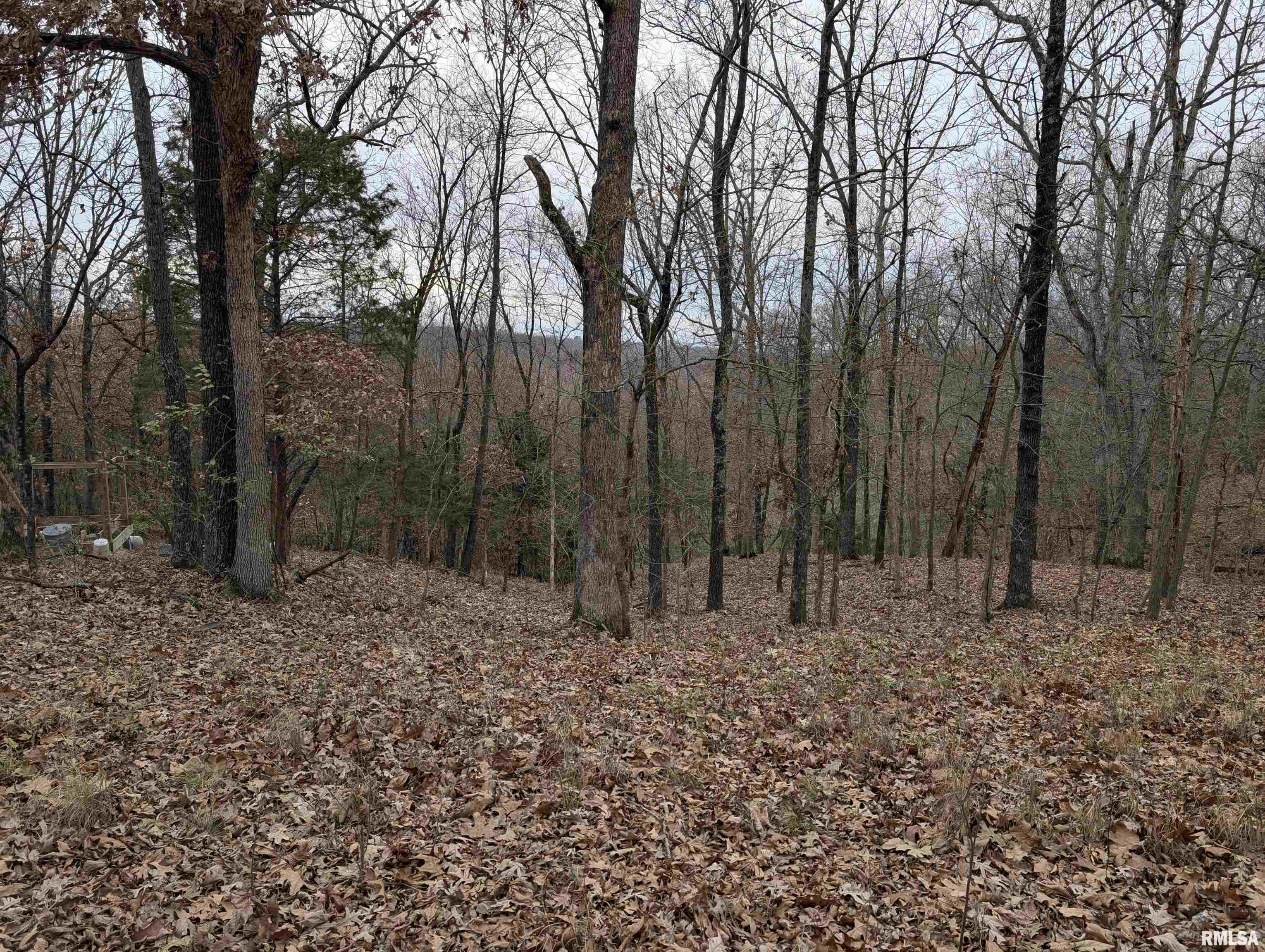 2643 Dogwood Road Carbondale, IL 62902 - Photo 5 of 6