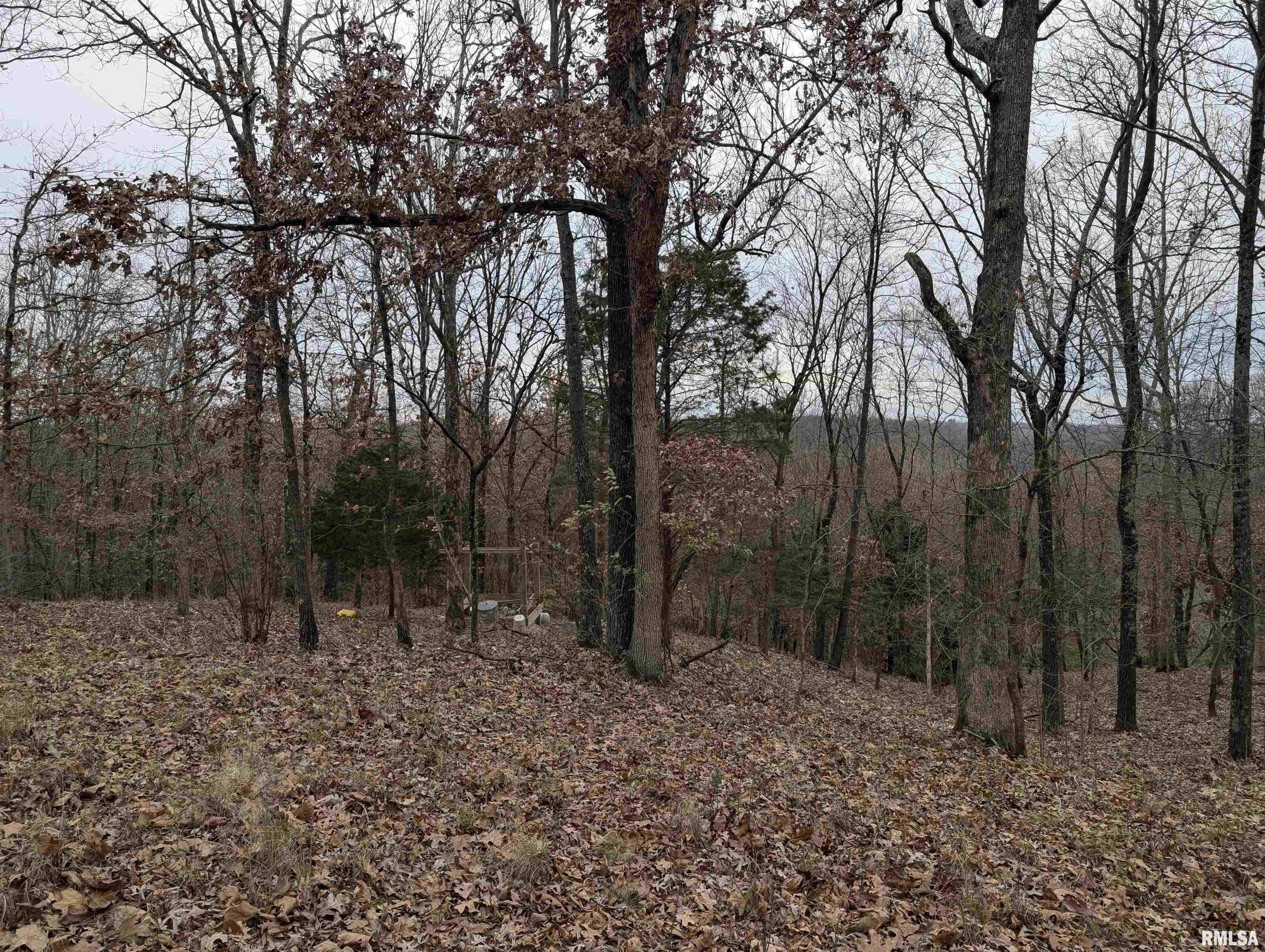 2643 Dogwood Road Carbondale, IL 62902 - Photo 6 of 6