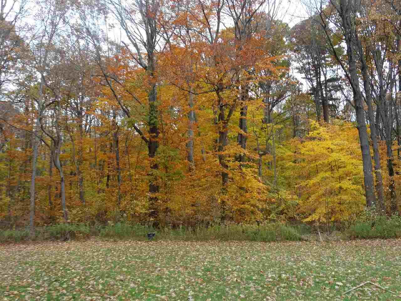 10245 Block Birch Run Birch Run, MI 48415 - Photo 14 of 15