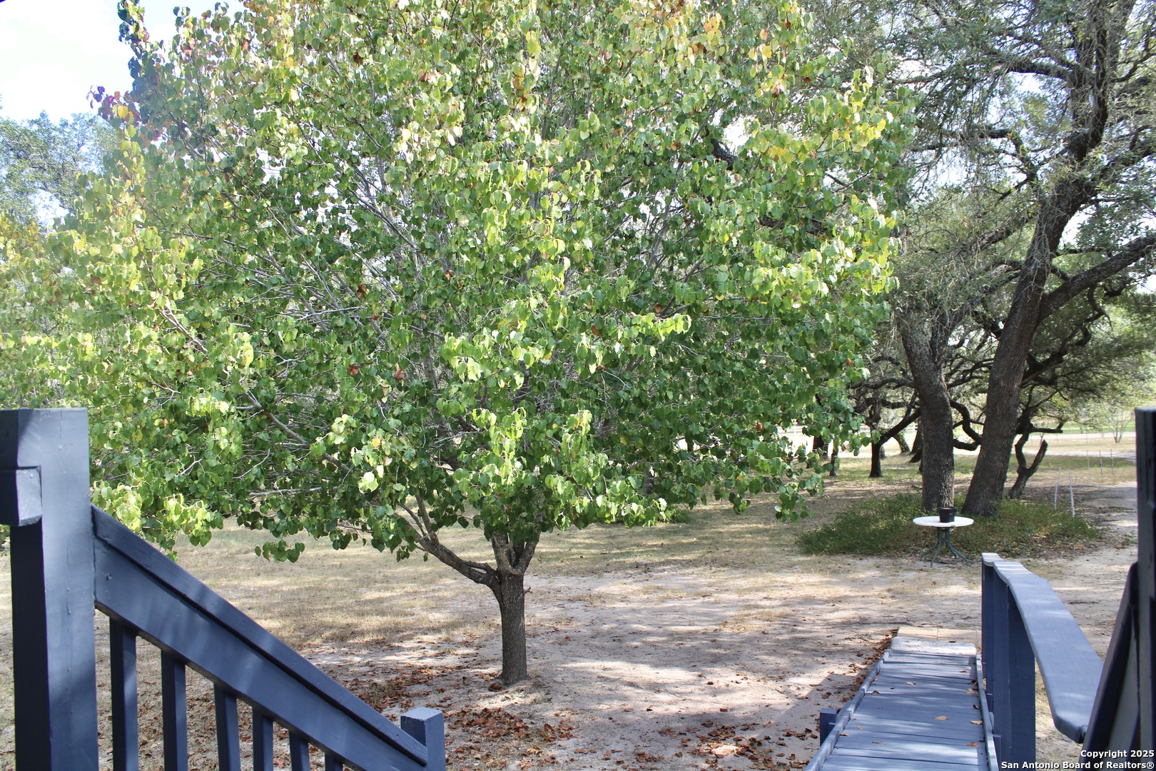 285 Rhonda Drive Lytle, TX 78052 - Photo 15 of 51 a view of a wooden deck with a tree