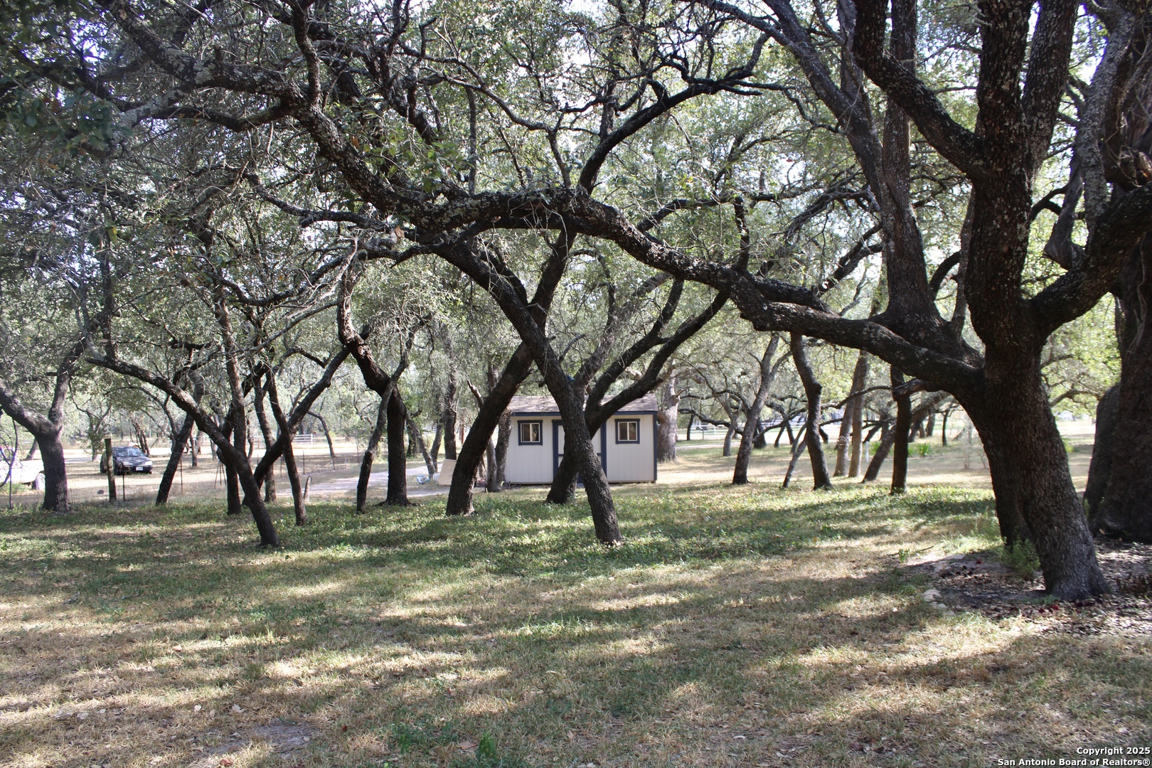 285 Rhonda Drive Lytle, TX 78052 - Photo 49 of 51 a view of park with trees