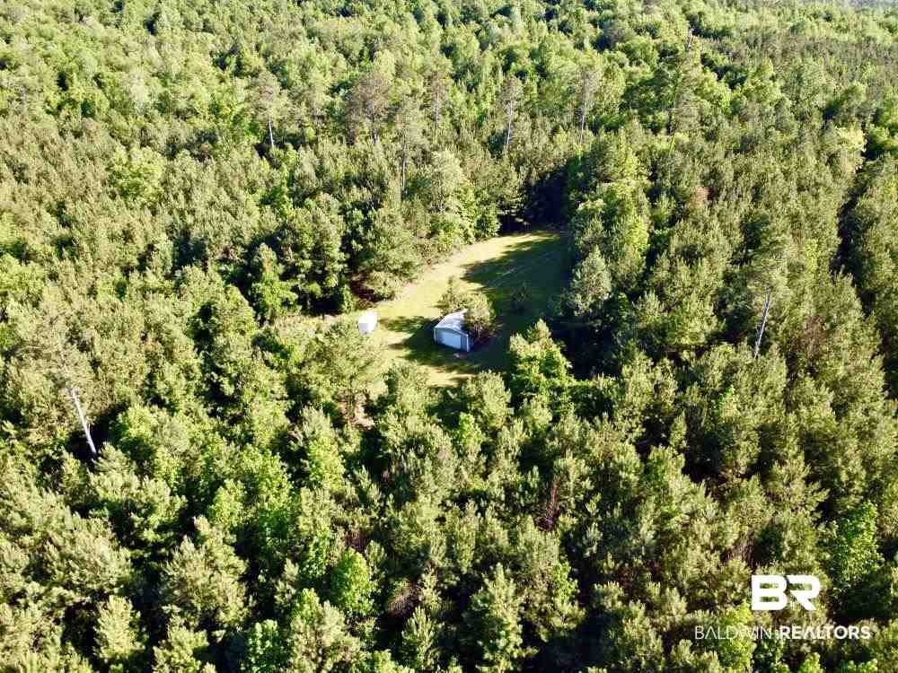 0 Country Road Uriah, AL 36480 - Photo 38 of 49