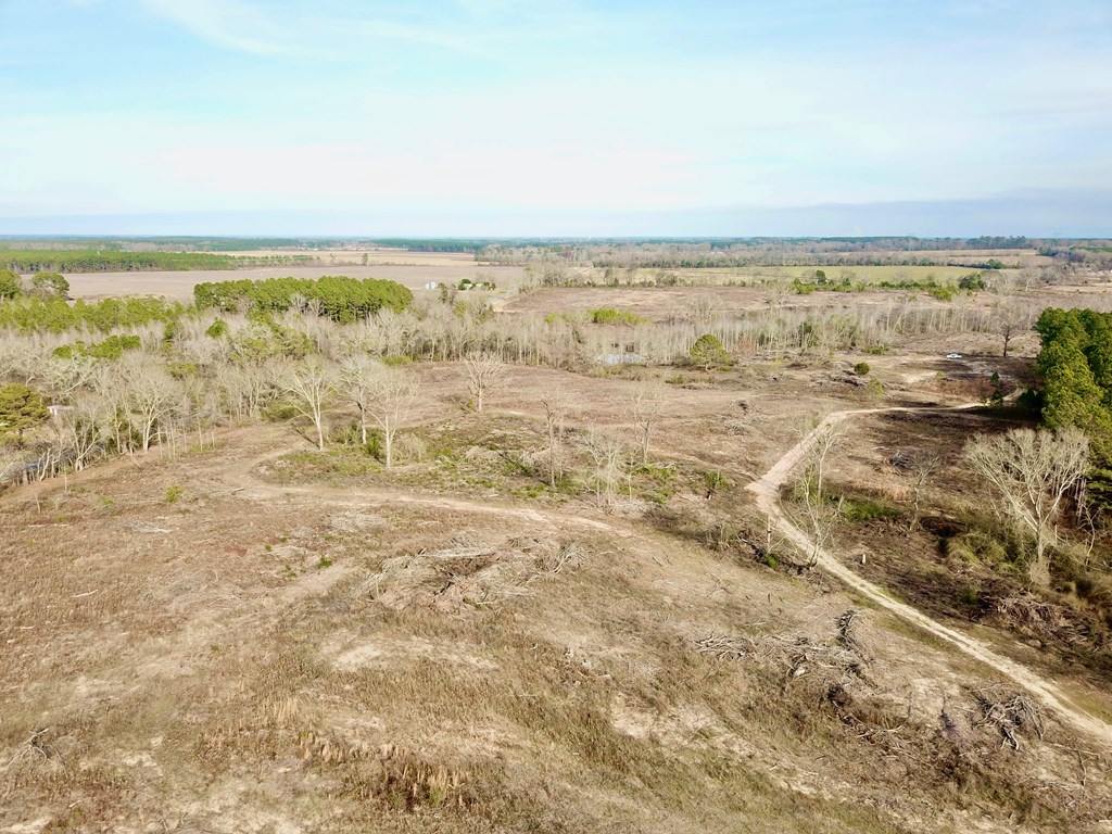 20-acres Hudson Road Columbia, AL 36319 - Photo 12 of 40