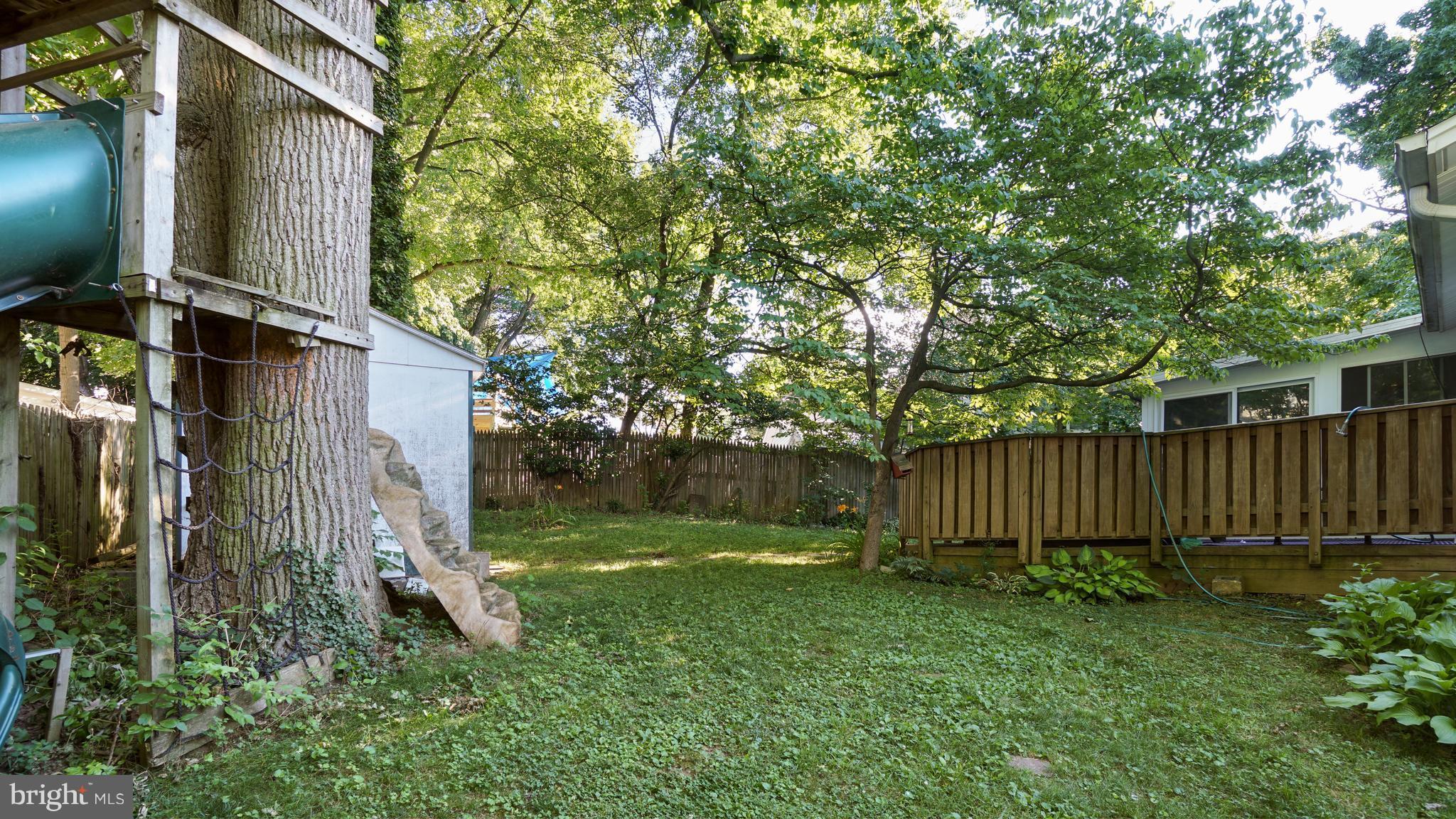 12721 Barbara Road Silver Spring, MD 20906 - Photo 28 of 30 a view of backyard with potted plants and large tree