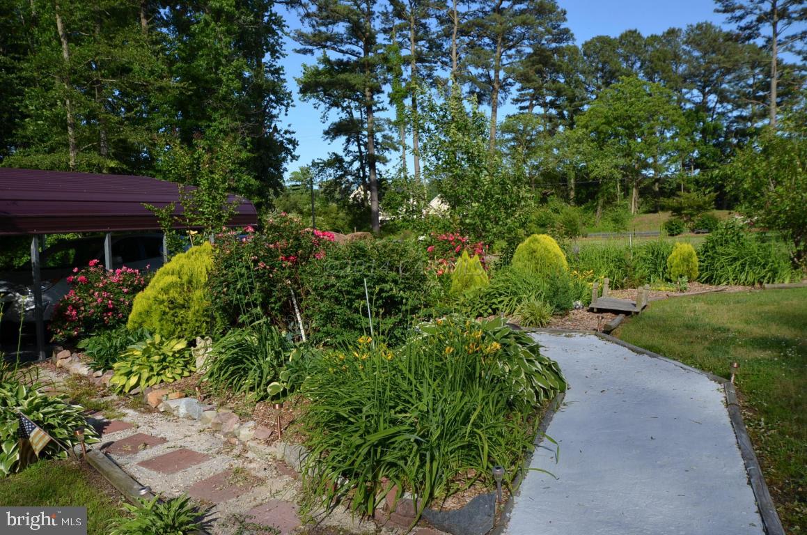 1849 Cedar Hall Road Pocomoke City, MD 21851 - Photo 3 of 56 Gallery Image 3