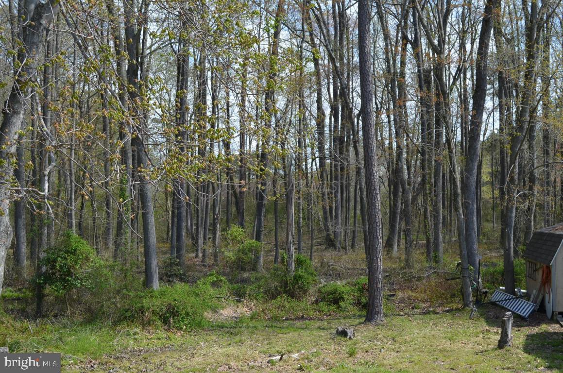 1849 Cedar Hall Road Pocomoke City, MD 21851 - Photo 30 of 56 Gallery Image 30