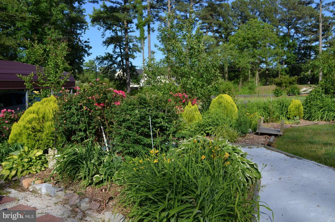 1849 Cedar Hall Road Pocomoke City, MD 21851 - Photo 31 of 56 Gallery Image 31